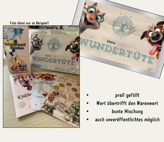 Budgeting Wundertüte