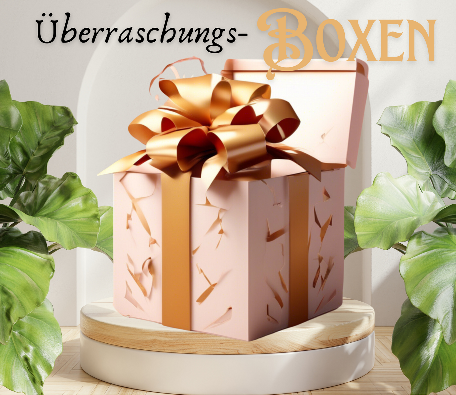 Boxen