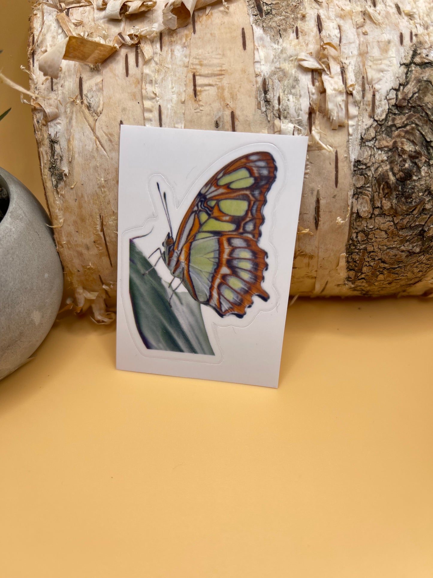 Vinylsticker Schmetterling (VS01)